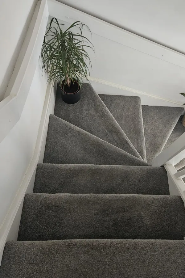 Deep cleaning service